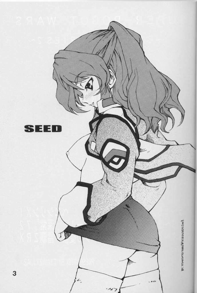 (CR33) [Studio Saults-walt] Super Robot Wars 2 Erotic Story (Gundam, Super Robot Wars) page 2 full