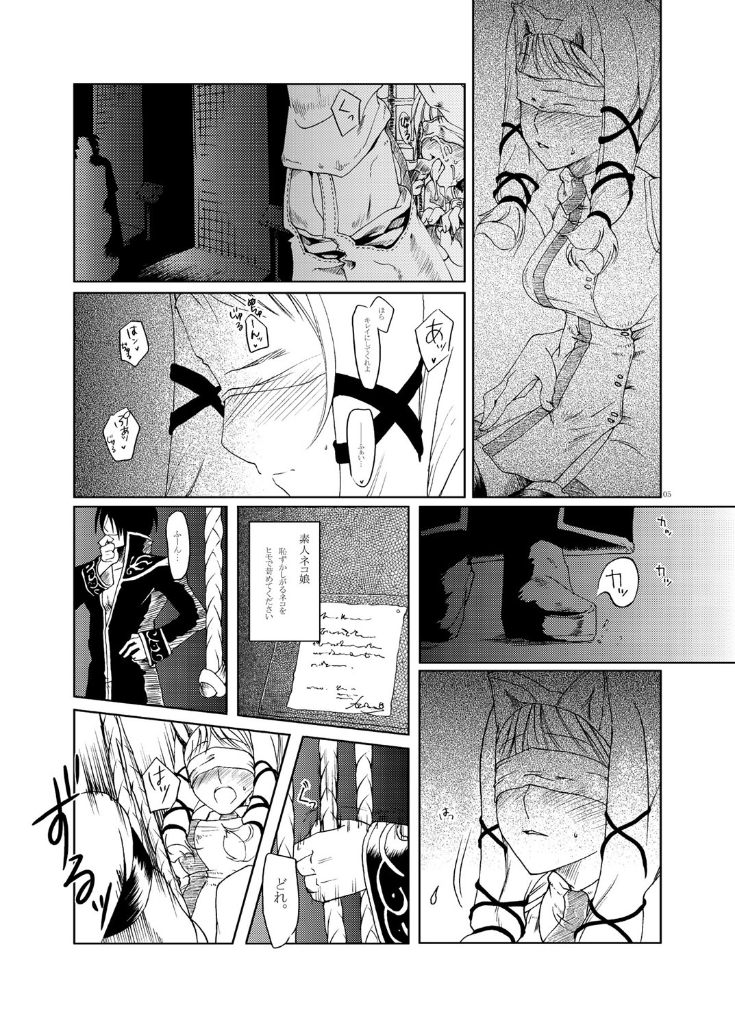 (C67) [Fujiya Honten (Thomas)] MIND vol. 03 - Meet by Chance (Ragnarok Online) page 4 full