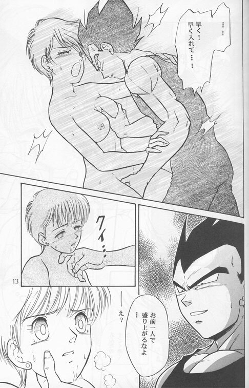 [Ryuujin-kai (HITO Ribuki)] Dangerous Beauty (DRAGON BALL Z) page 13 full