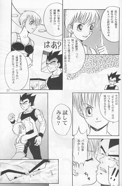 [Ryuujin-kai (HITO Ribuki)] Dangerous Beauty (DRAGON BALL Z) page 27 full