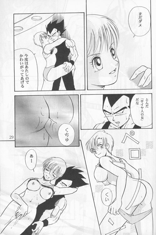 [Ryuujin-kai (HITO Ribuki)] Dangerous Beauty (DRAGON BALL Z) page 29 full