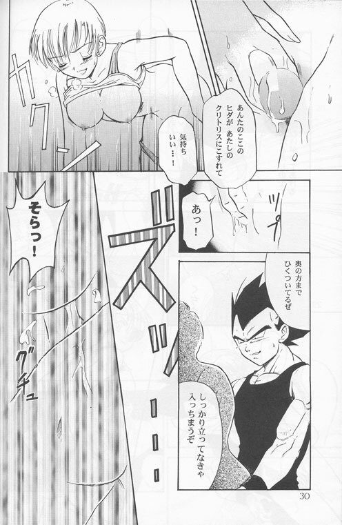 [Ryuujin-kai (HITO Ribuki)] Dangerous Beauty (DRAGON BALL Z) page 30 full