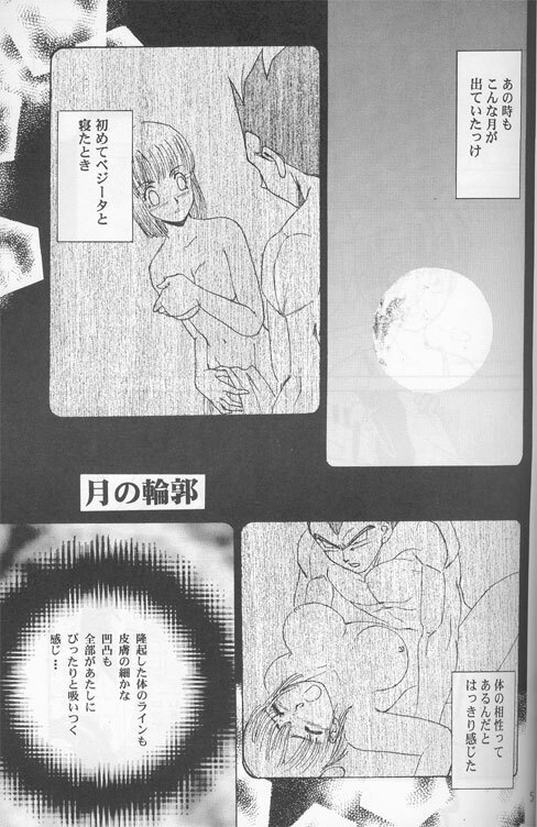 [Ryuujin-kai (HITO Ribuki)] Dangerous Beauty (DRAGON BALL Z) page 5 full