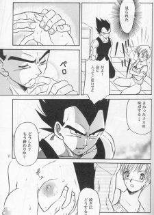 [Ryuujin-kai (HITO Ribuki)] Dangerous Beauty (DRAGON BALL Z) - page 11