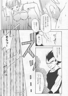 [Ryuujin-kai (HITO Ribuki)] Dangerous Beauty (DRAGON BALL Z) - page 30