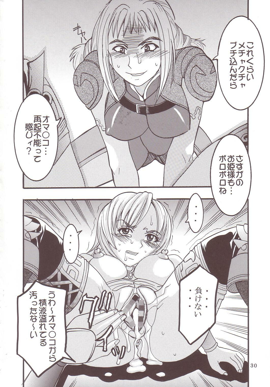 [St. Rio (Kitty)] ASHE OF JOY TOY (Final Fantasy XII) page 31 full