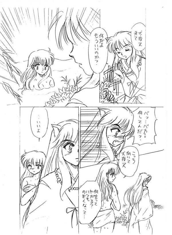 (C67) [PINK WOLF (Momomiya Anzu, Inugami Rou)] Abunai Doyoubi (Inuyasha) page 3 full