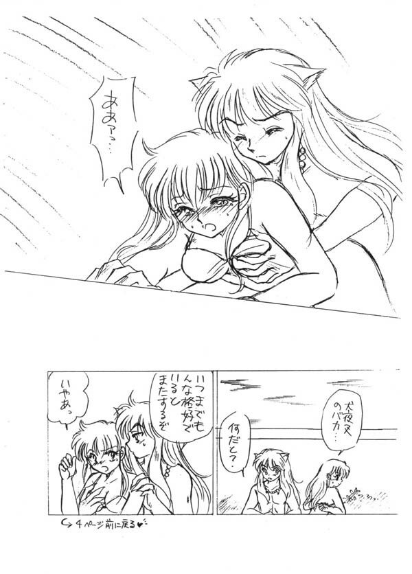 (C67) [PINK WOLF (Momomiya Anzu, Inugami Rou)] Abunai Doyoubi (Inuyasha) page 9 full