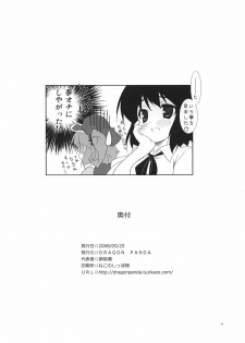 (Reitaisai 5) [DRAGON PANDA (Minase)] Idaten R2 (Touhou Project) - page 14