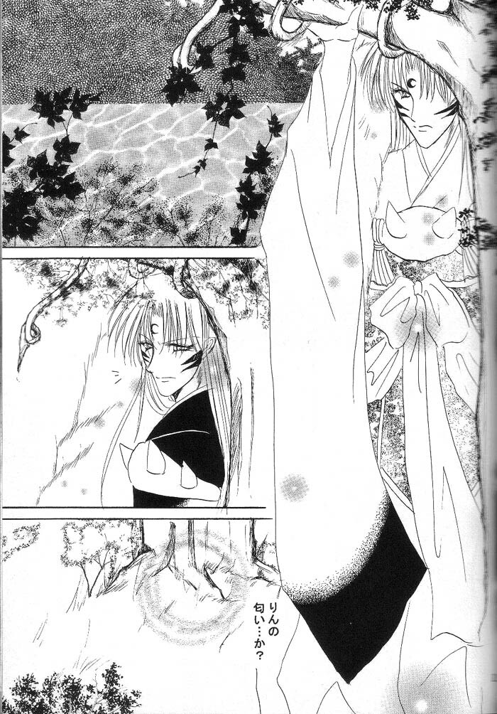 (C66) [Herohero Honpo (Kamiryou Kaduki)] Mutsumizuki (Inuyasha) page 10 full