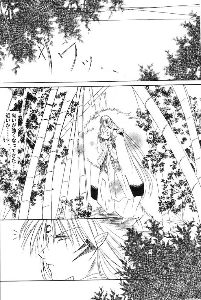 (C66) [Herohero Honpo (Kamiryou Kaduki)] Mutsumizuki (Inuyasha) page 17 full