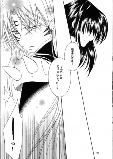 (C66) [Herohero Honpo (Kamiryou Kaduki)] Mutsumizuki (Inuyasha) - page 39