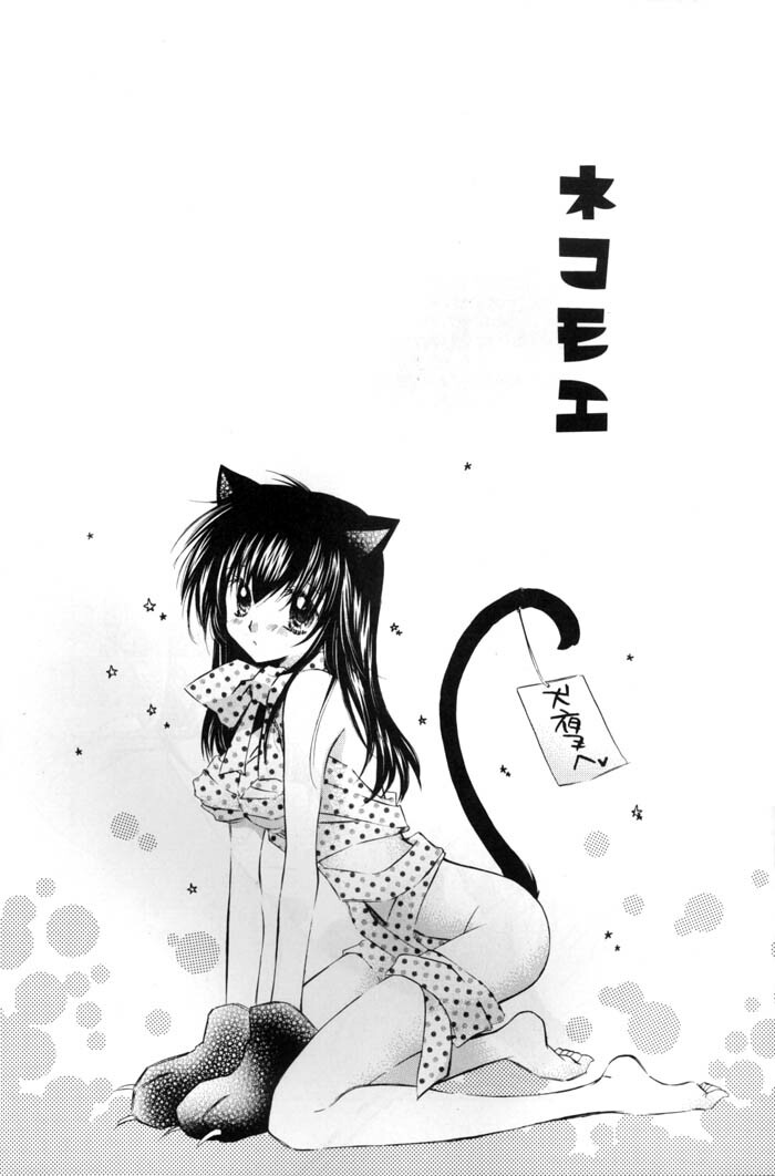 [Sakurakan (Seriou Sakura)] Neko Moe 2 (Inuyasha) page 2 full