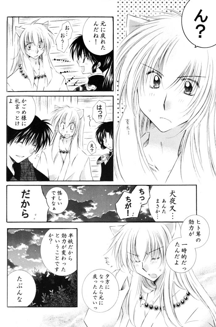 [Sakurakan (Seriou Sakura)] Neko Moe 2 (Inuyasha) page 29 full