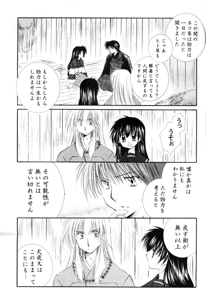 [Sakurakan (Seriou Sakura)] Neko Moe 2 (Inuyasha) page 8 full