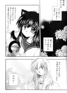 [Sakurakan (Seriou Sakura)] Neko Moe 2 (Inuyasha) - page 4