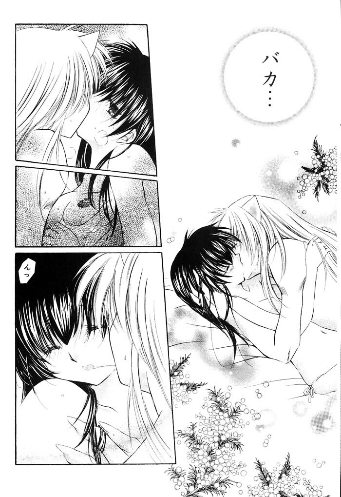 (C66) [Sakurakan (Seriou Sakura)] Junai Romanesque (Inuyasha) page 13 full