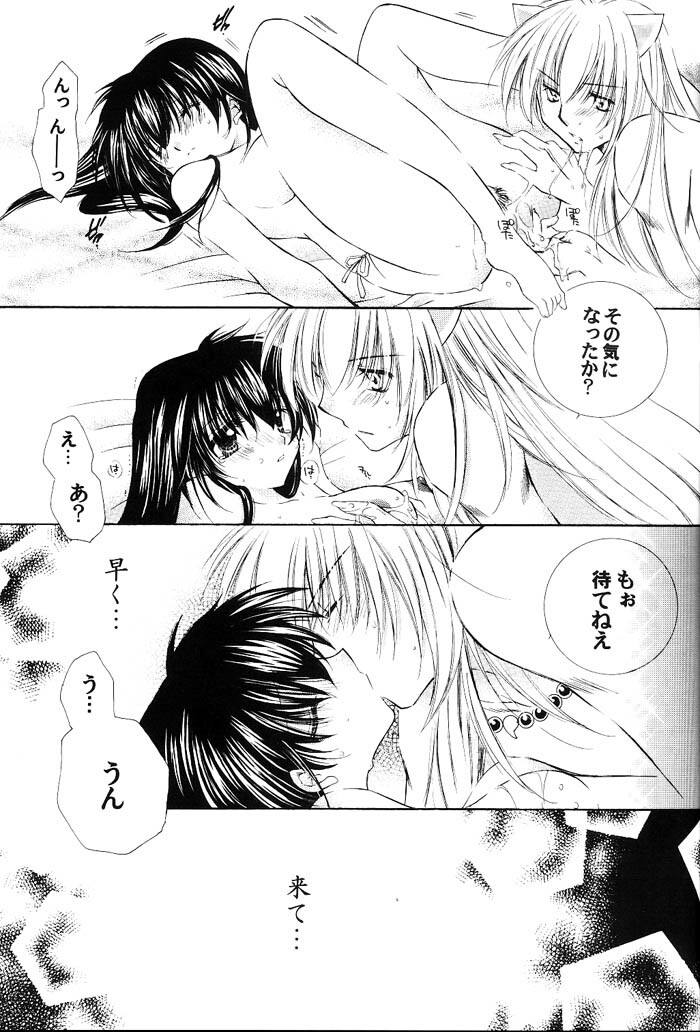 (C66) [Sakurakan (Seriou Sakura)] Junai Romanesque (Inuyasha) page 18 full