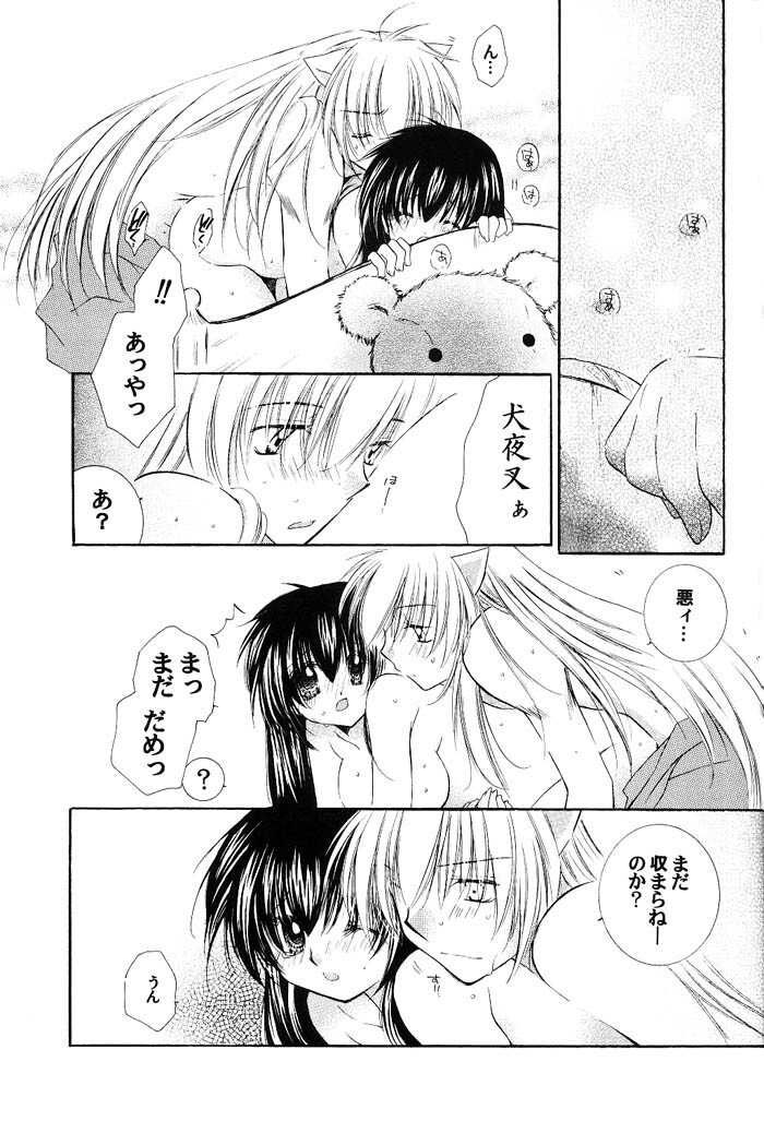 (C66) [Sakurakan (Seriou Sakura)] Junai Romanesque (Inuyasha) page 24 full