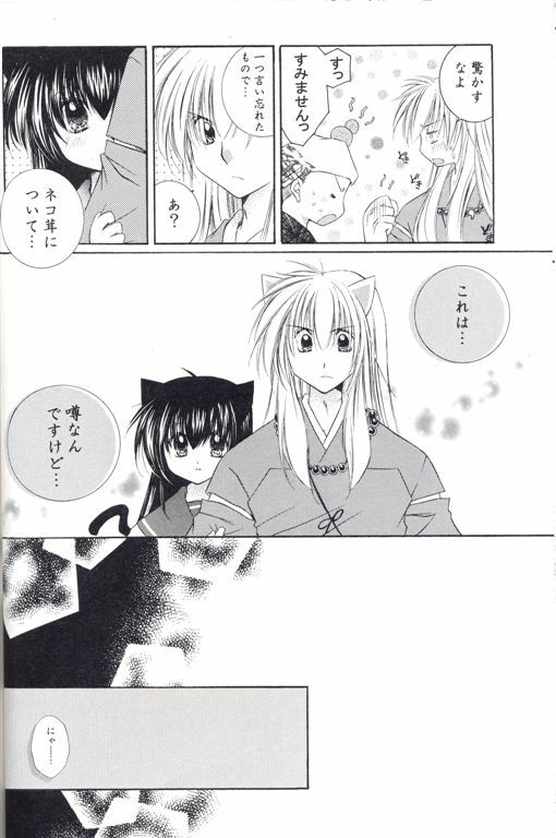 [Sakurakan (Seriou Sakura)] Neko Moe (Inuyasha) page 11 full