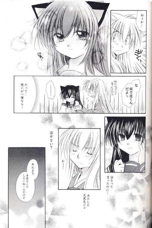 [Sakurakan (Seriou Sakura)] Neko Moe (Inuyasha) page 14 full