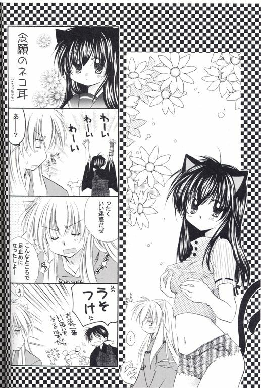 [Sakurakan (Seriou Sakura)] Neko Moe (Inuyasha) page 31 full