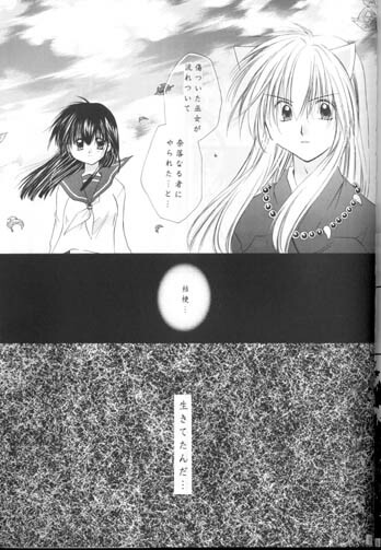 (C63) [Sakurakan (Seriou Sakura)] Manten no Hoshizora o Anata ni (Inuyasha) page 54 full