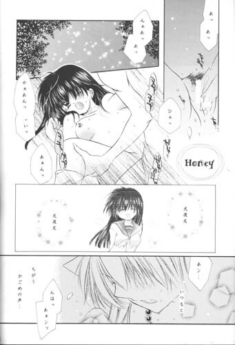 (C63) [Sakurakan (Seriou Sakura)] Manten no Hoshizora o Anata ni (Inuyasha) page 60 full