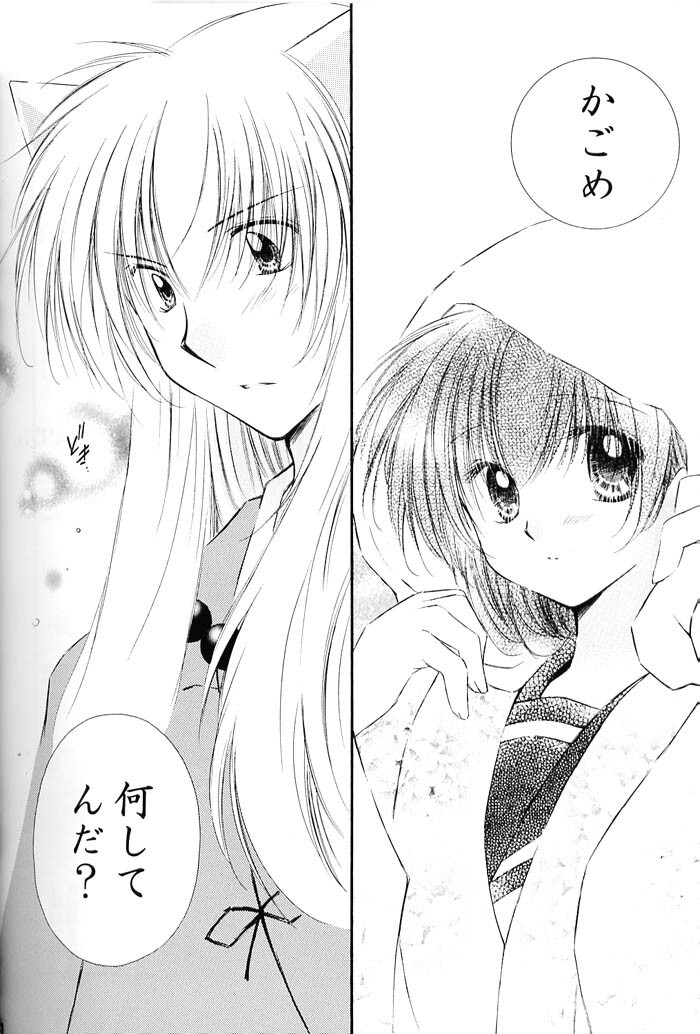 (C67) [Sakurakan (Seriou Sakura)] Lovers (InuYasha) page 100 full