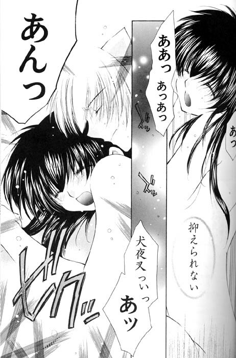 (C67) [Sakurakan (Seriou Sakura)] Lovers (InuYasha) page 20 full