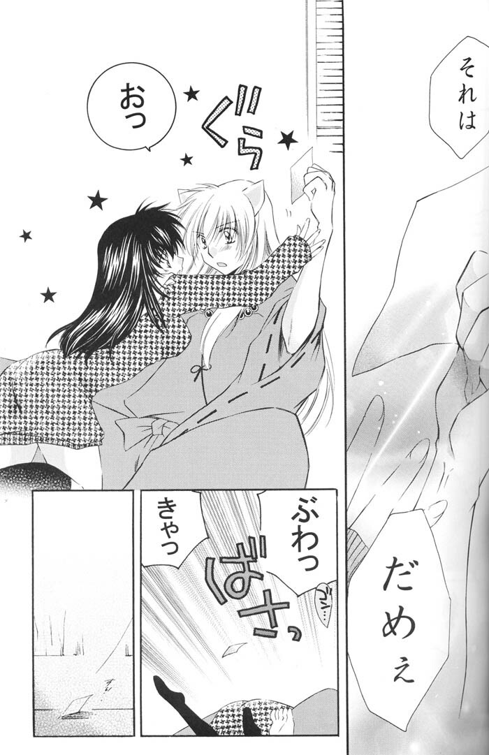 (C67) [Sakurakan (Seriou Sakura)] Lovers (InuYasha) page 28 full