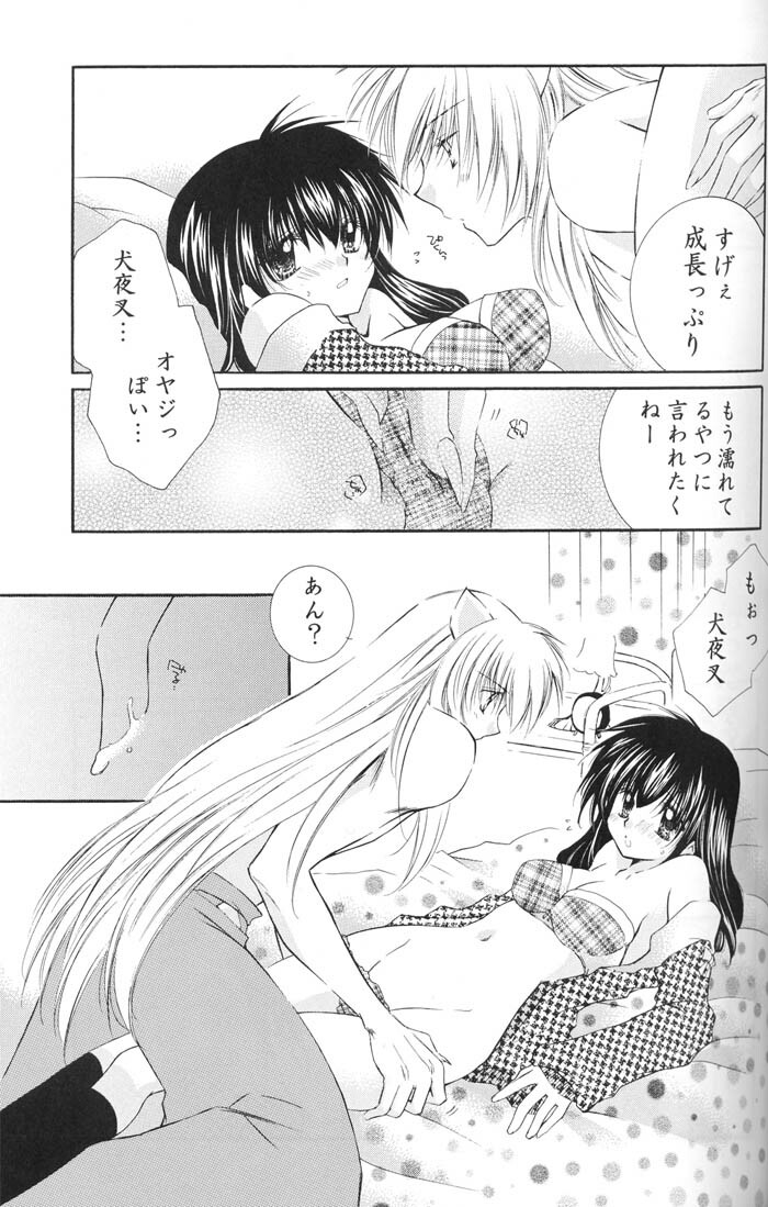 (C67) [Sakurakan (Seriou Sakura)] Lovers (InuYasha) page 32 full