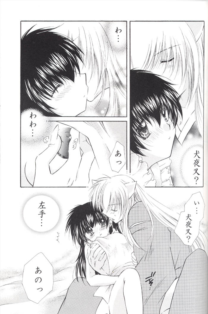 (C67) [Sakurakan (Seriou Sakura)] Lovers (InuYasha) page 51 full