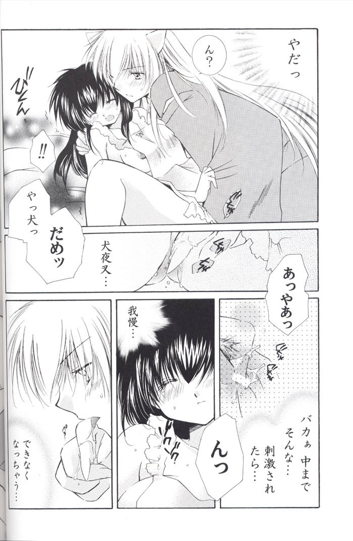 (C67) [Sakurakan (Seriou Sakura)] Lovers (InuYasha) page 52 full