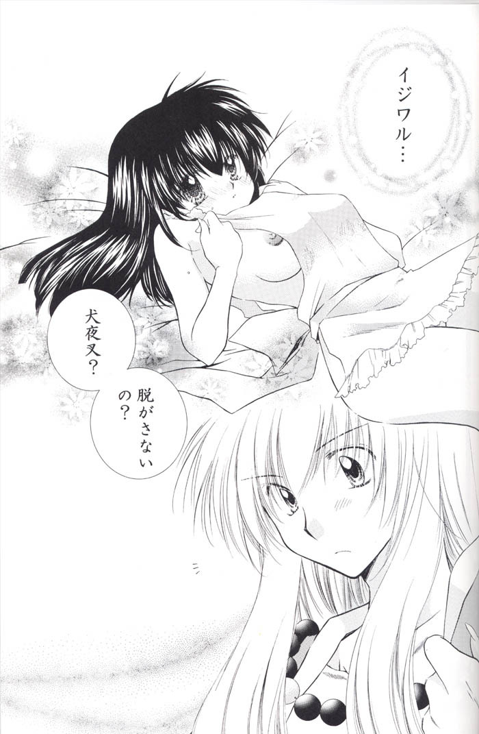 (C67) [Sakurakan (Seriou Sakura)] Lovers (InuYasha) page 53 full