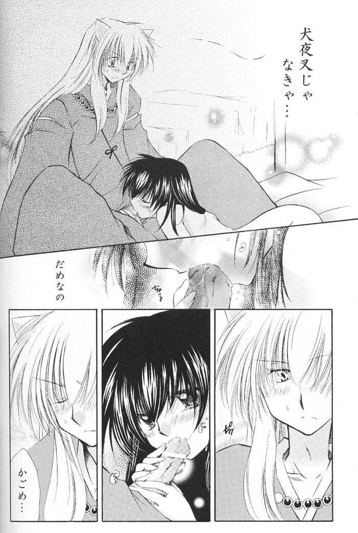(C67) [Sakurakan (Seriou Sakura)] Lovers (InuYasha) page 76 full