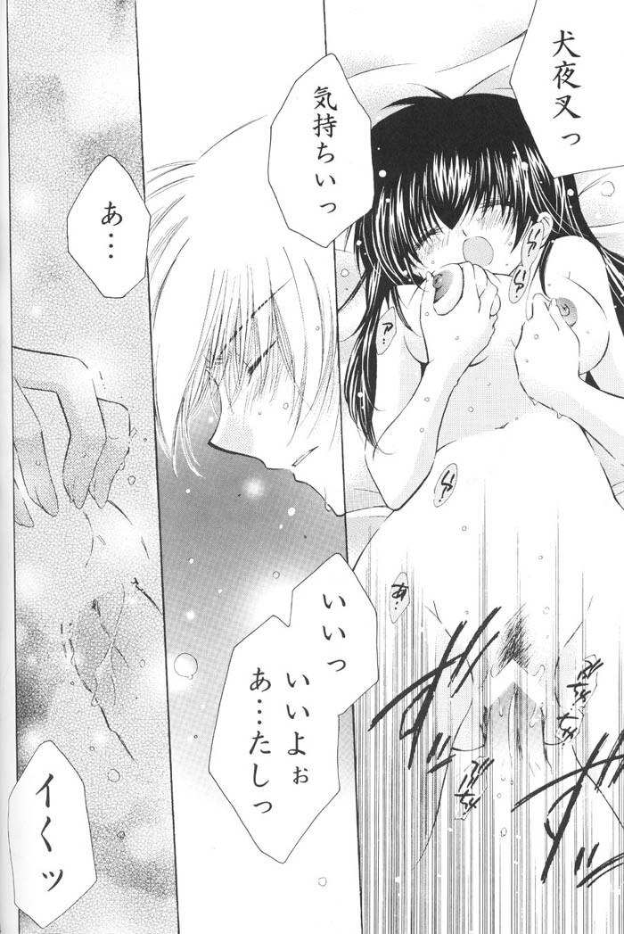 (C67) [Sakurakan (Seriou Sakura)] Lovers (InuYasha) page 80 full