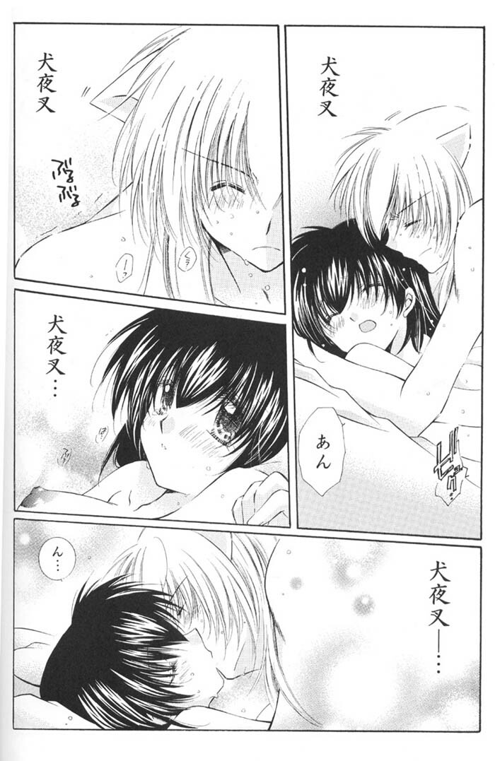 (C67) [Sakurakan (Seriou Sakura)] Lovers (InuYasha) page 82 full