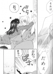 (C67) [Sakurakan (Seriou Sakura)] Lovers (InuYasha) - page 28