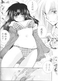 (C67) [Sakurakan (Seriou Sakura)] Lovers (InuYasha) - page 31