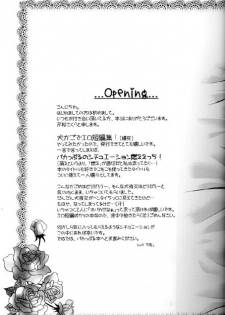 (C67) [Sakurakan (Seriou Sakura)] Lovers (InuYasha) - page 4