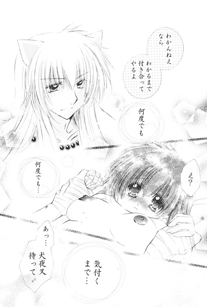 (C68) [Sakurakan (Seriou Sakura)] Kimagure Sousei (Inuyasha) page 44 full