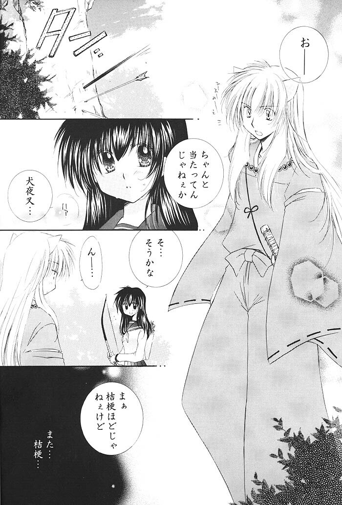 (C68) [Sakurakan (Seriou Sakura)] Kimagure Sousei (Inuyasha) page 5 full