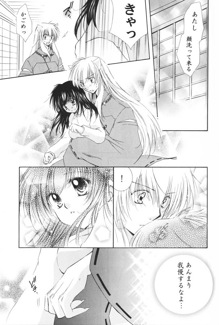 (C69) [Sakurakan (Seriou Sakura)] Hoshi no furitsumoru yoru ni (Inuyasha) page 19 full