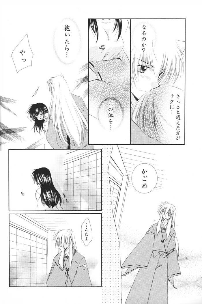 (C69) [Sakurakan (Seriou Sakura)] Hoshi no furitsumoru yoru ni (Inuyasha) page 20 full