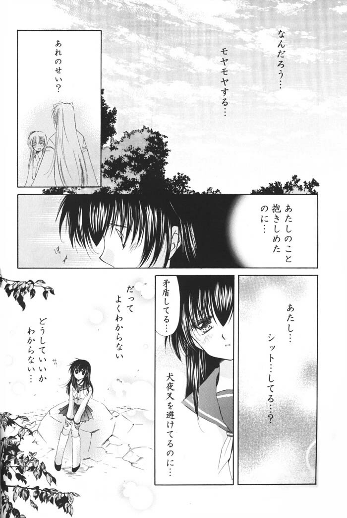 (C69) [Sakurakan (Seriou Sakura)] Hoshi no furitsumoru yoru ni (Inuyasha) page 26 full