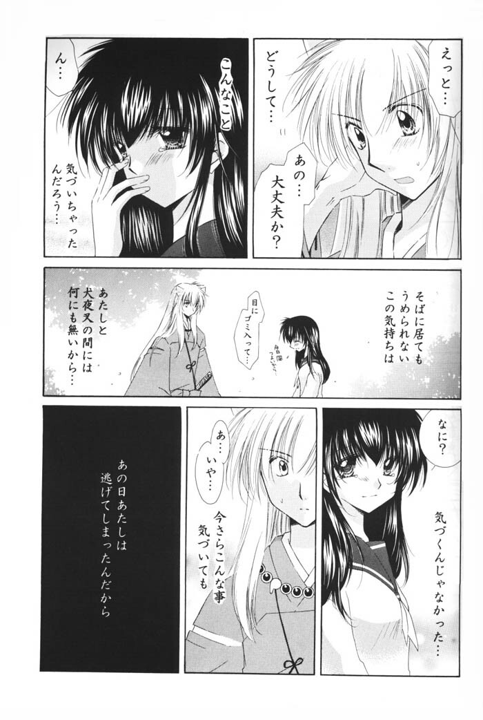 (C69) [Sakurakan (Seriou Sakura)] Hoshi no furitsumoru yoru ni (Inuyasha) page 29 full