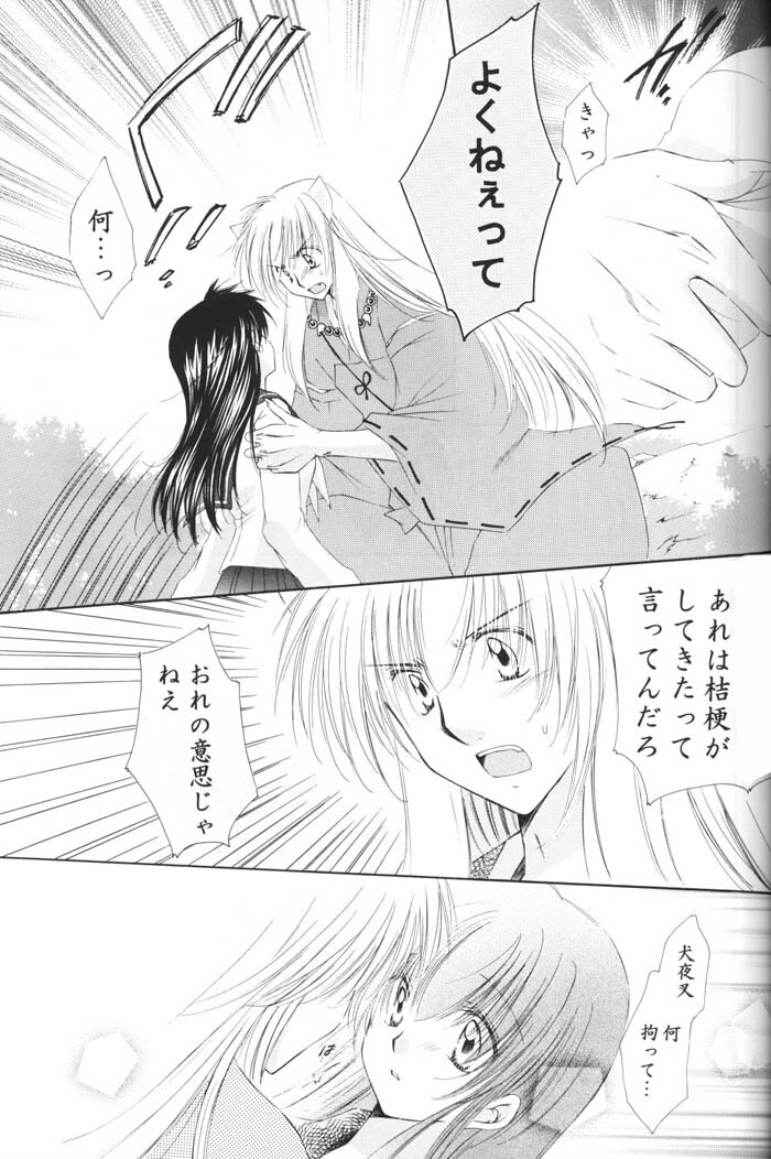 (C69) [Sakurakan (Seriou Sakura)] Hoshi no furitsumoru yoru ni (Inuyasha) page 31 full