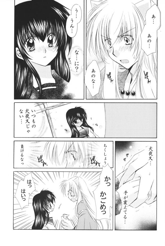 (C69) [Sakurakan (Seriou Sakura)] Hoshi no furitsumoru yoru ni (Inuyasha) page 41 full