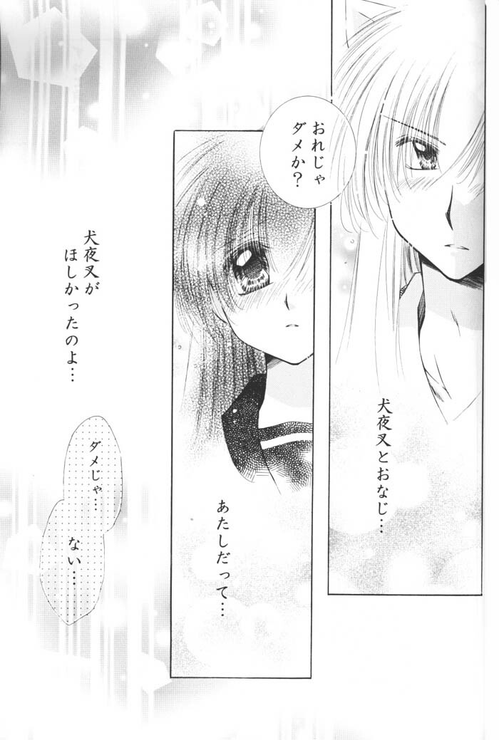 (C69) [Sakurakan (Seriou Sakura)] Hoshi no furitsumoru yoru ni (Inuyasha) page 49 full